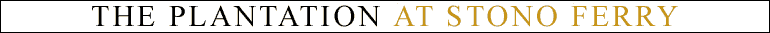 Stono Ferry Plantation Homes Home Page